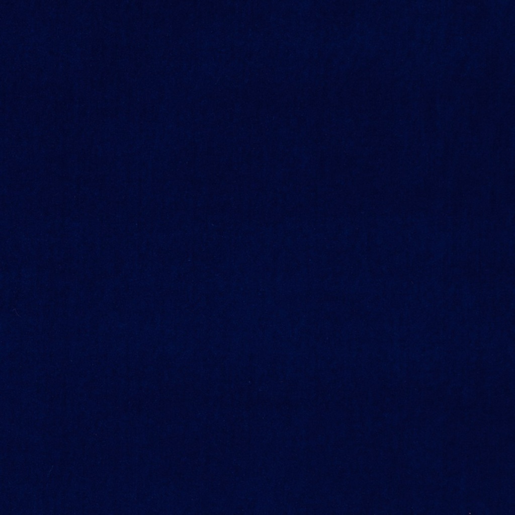 VP205