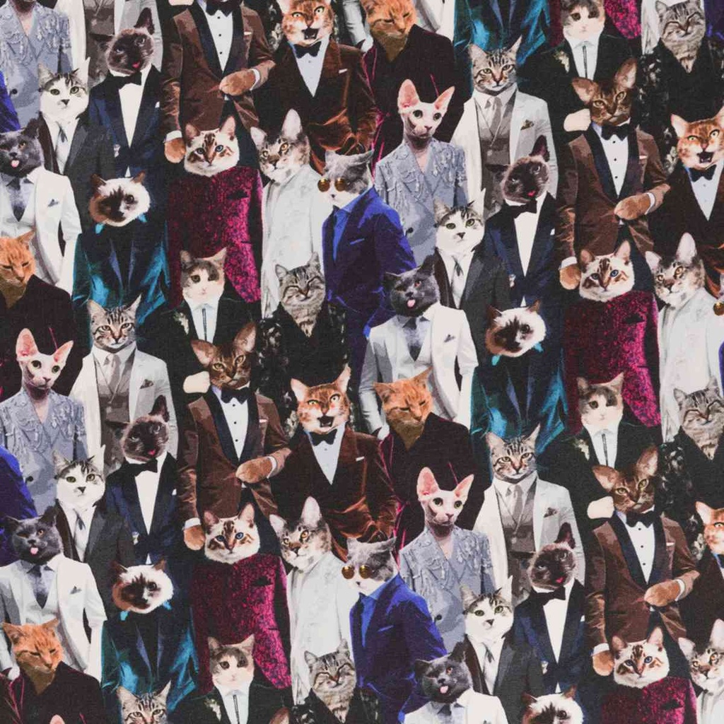 CATS IN TUXEDO