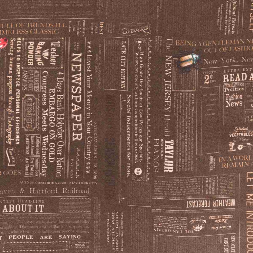 BLACK, NEWSPAPER AND INSECTS