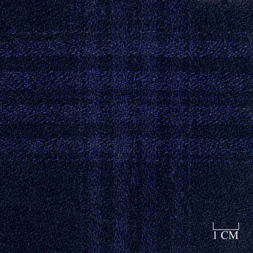 BLUE, CHECKS