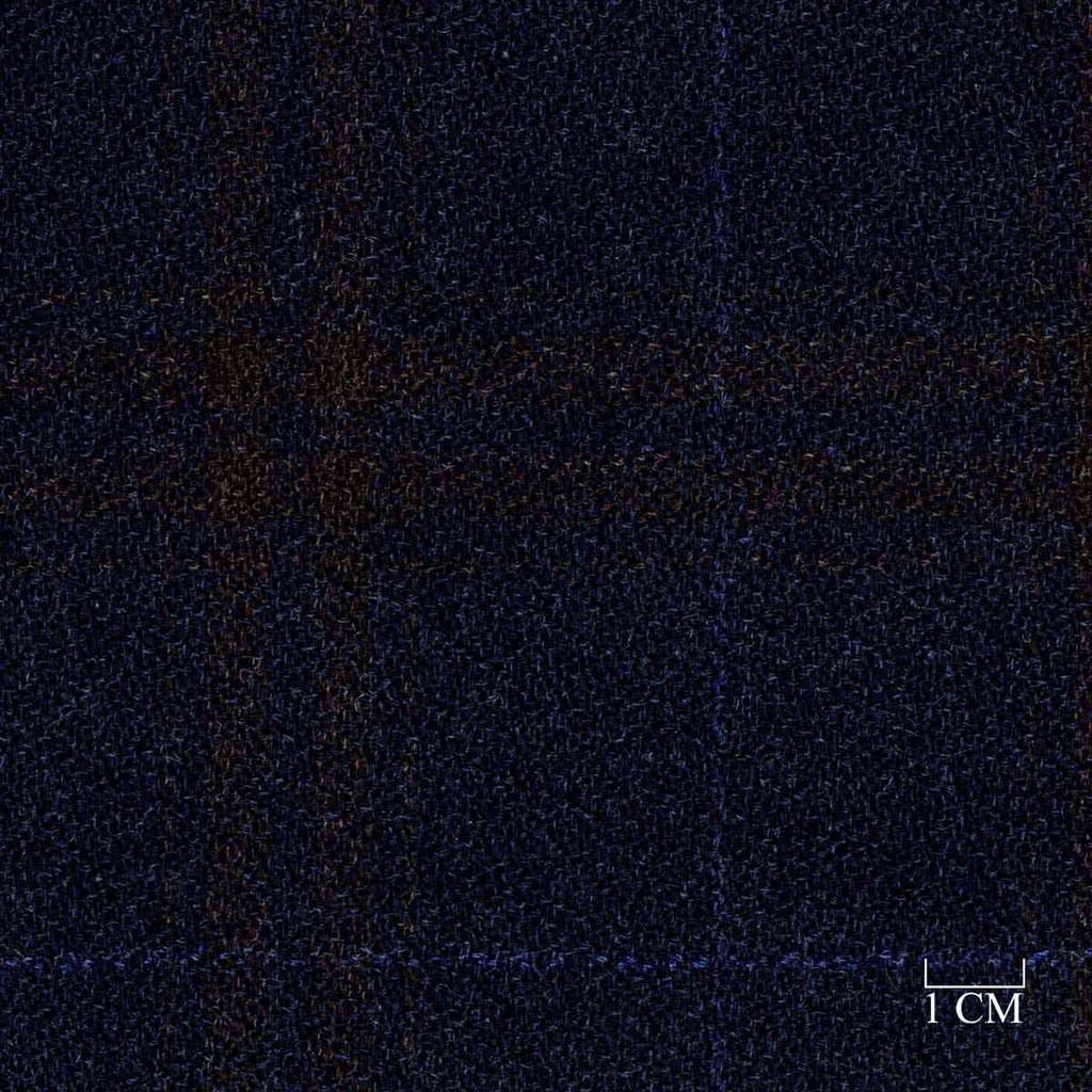 BLUE, BROWN CHECKS