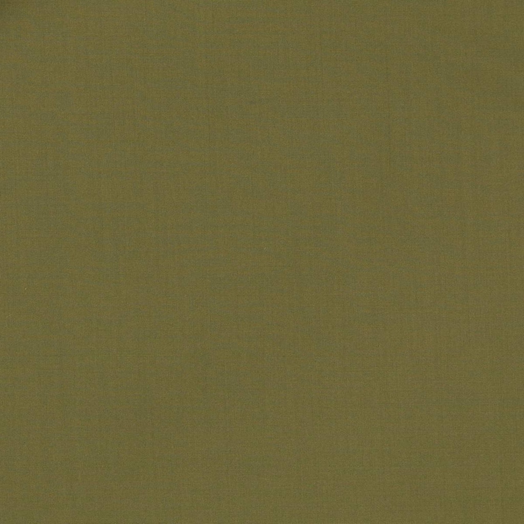OLIVE,PLAIN