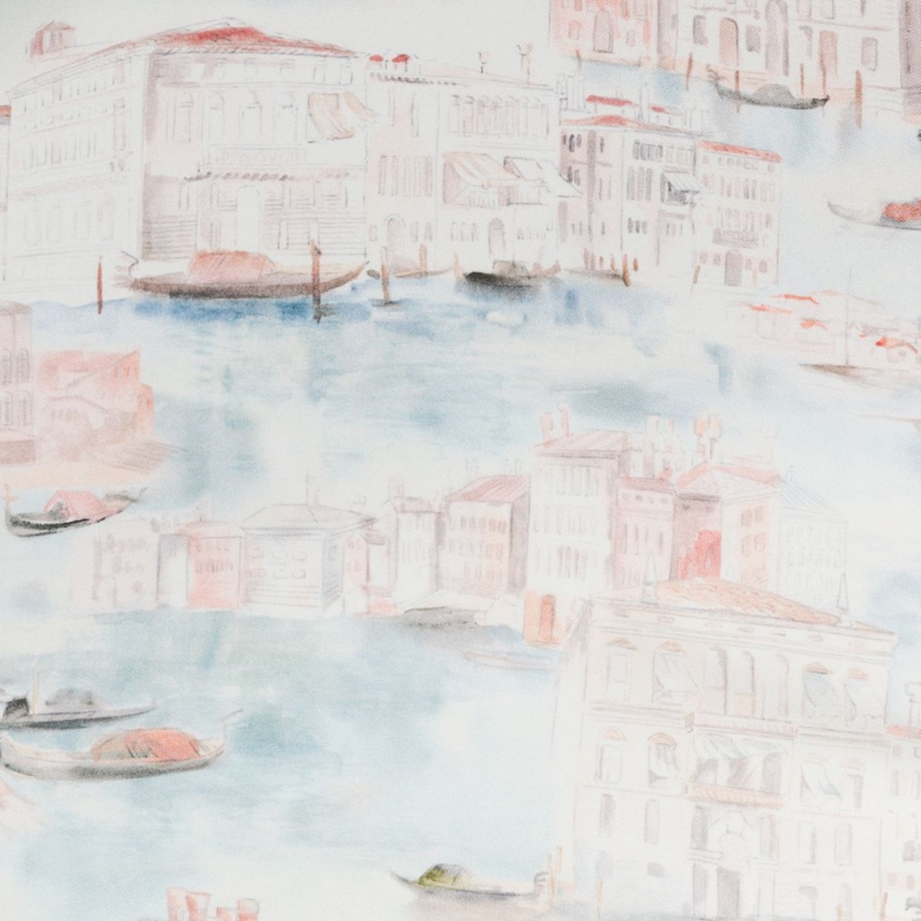 VENICE VIEW