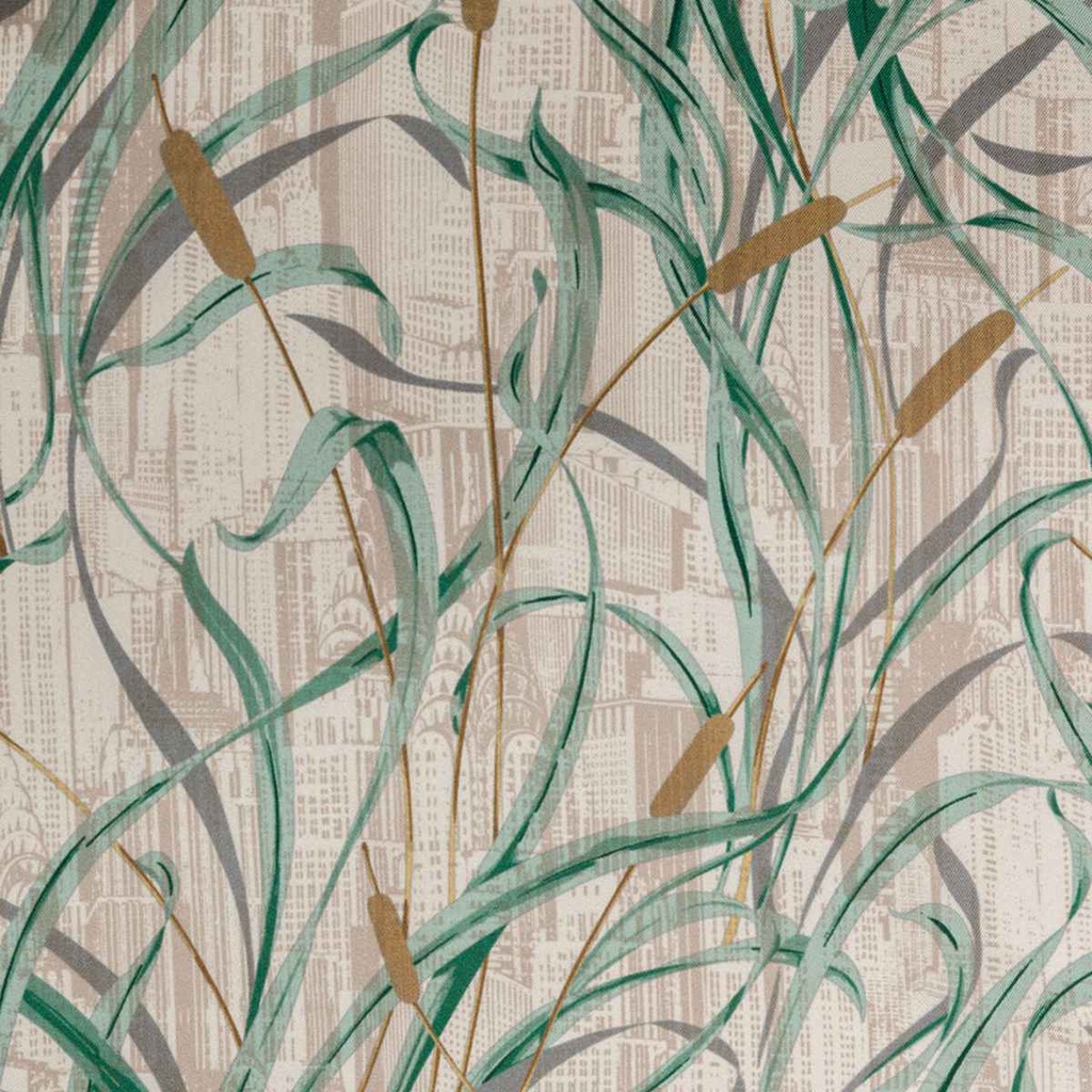 PLANTS