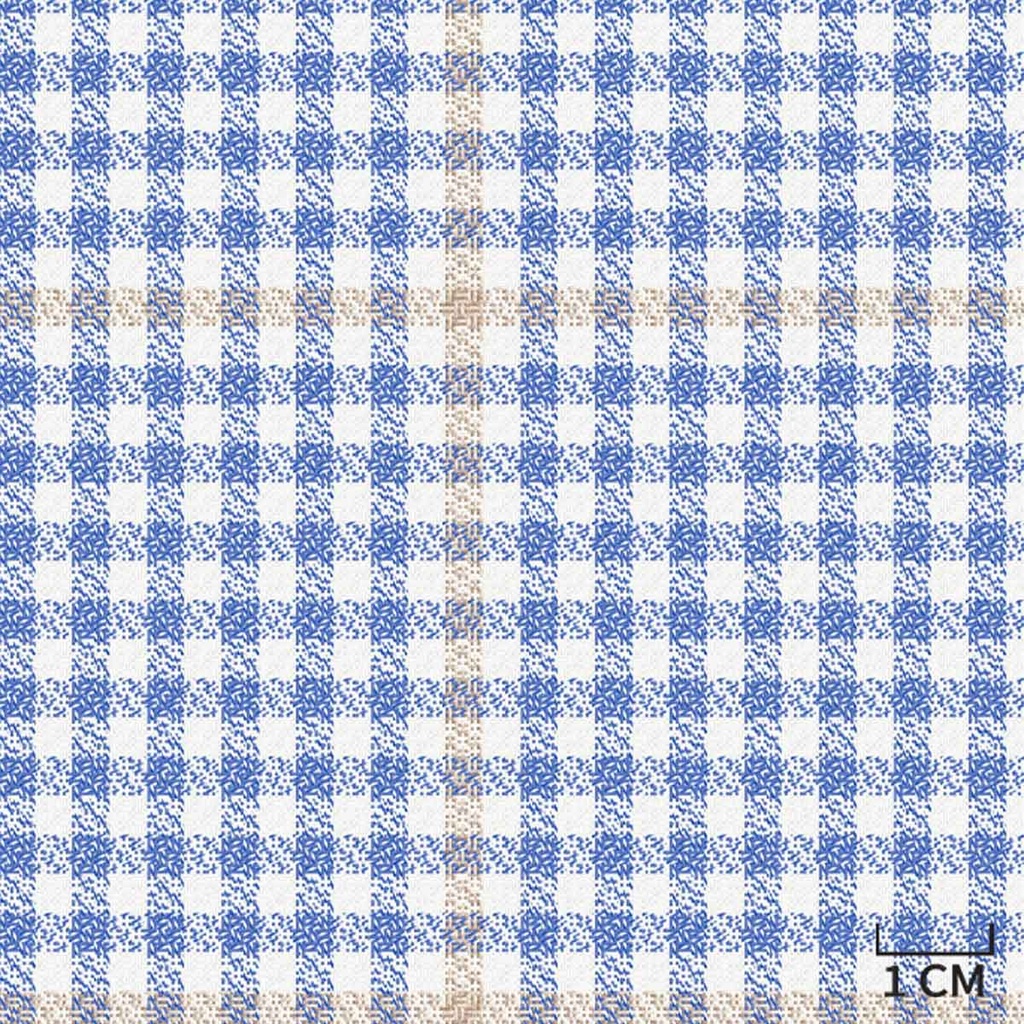 BLUE,BROWN CHECKS