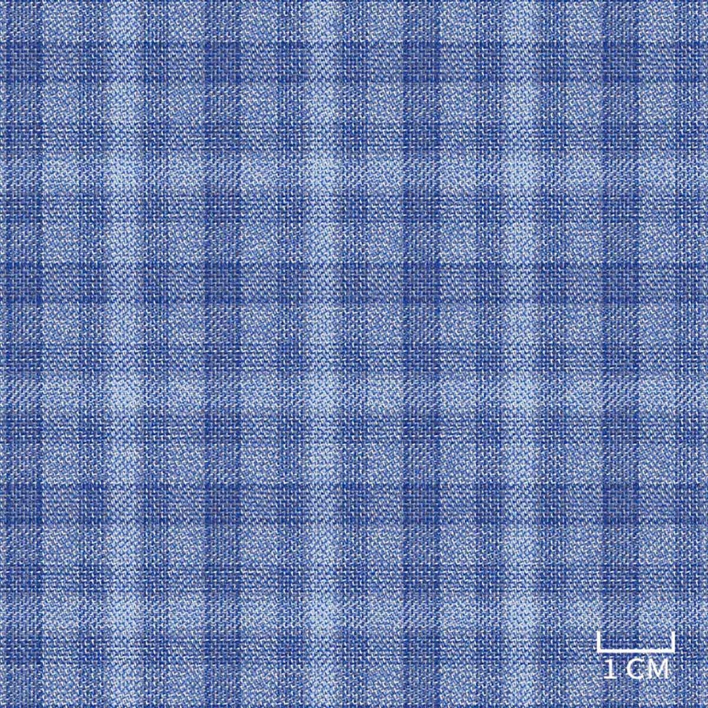 BLUE,CHECKS
