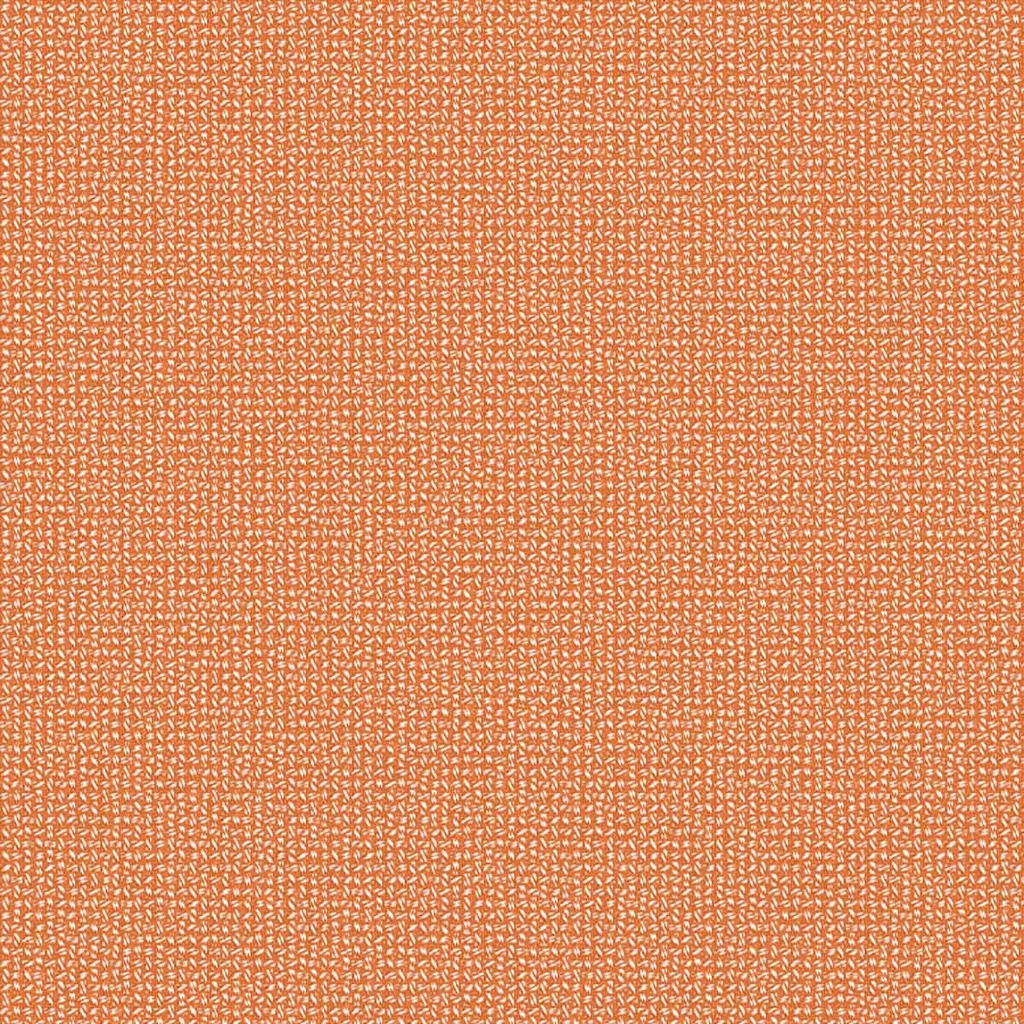 ORANGE,PLAIN