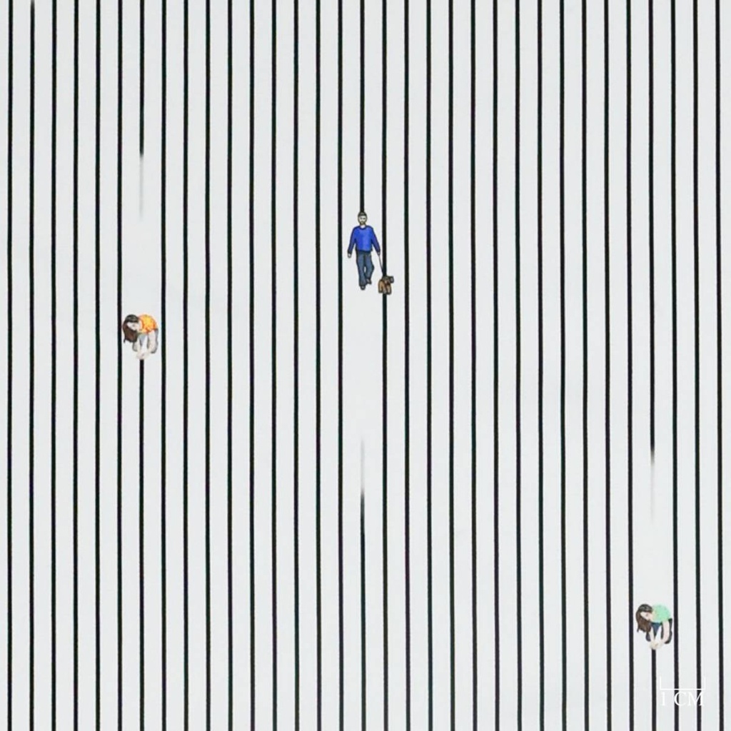 BLACK STRIPES, DAILY SCENES PATTERN