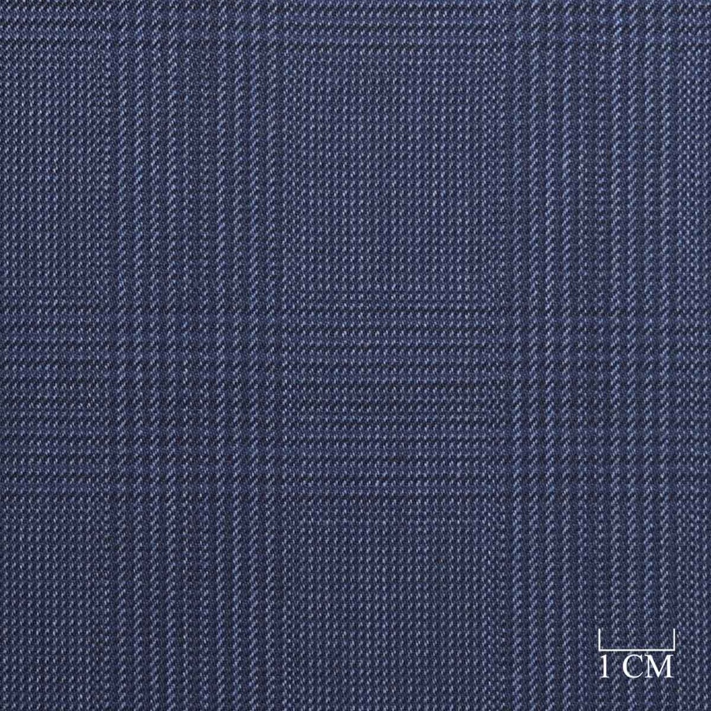 BLUE, CHECKS (35/05)