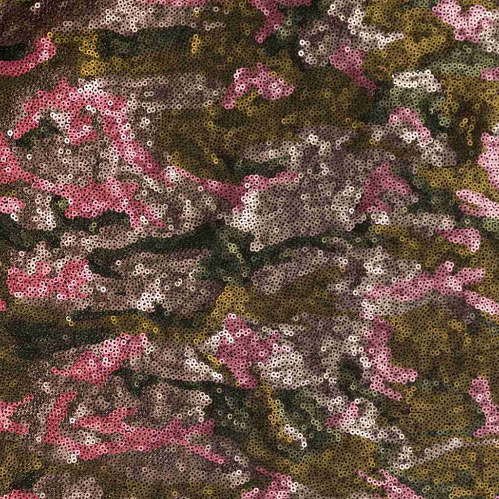 DS60313