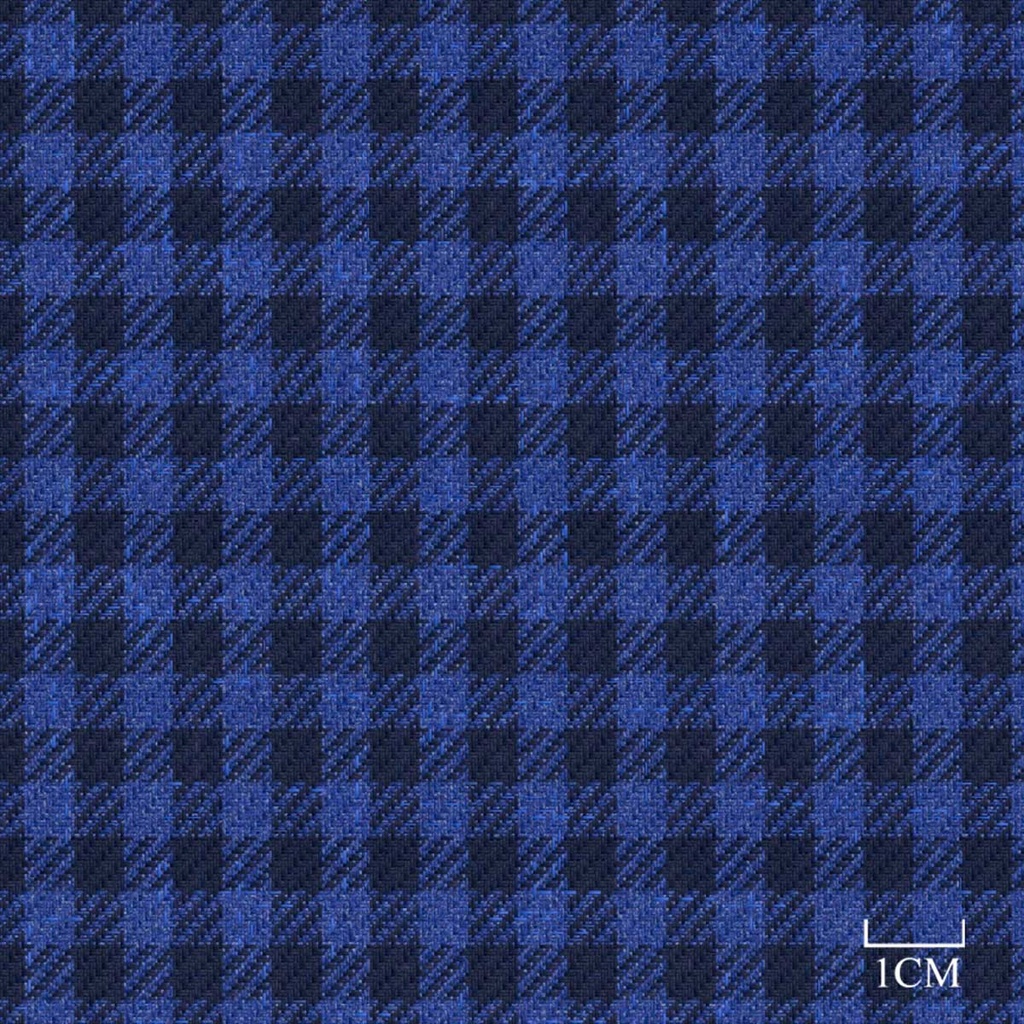 BLUE, CHECKS