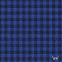 BLUE, CHECKS