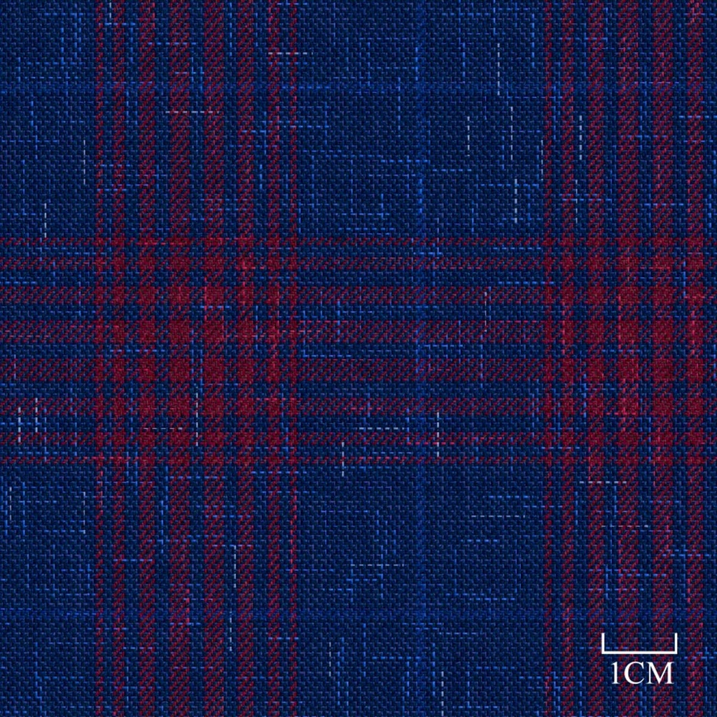 BLUE, RED CHECKS
