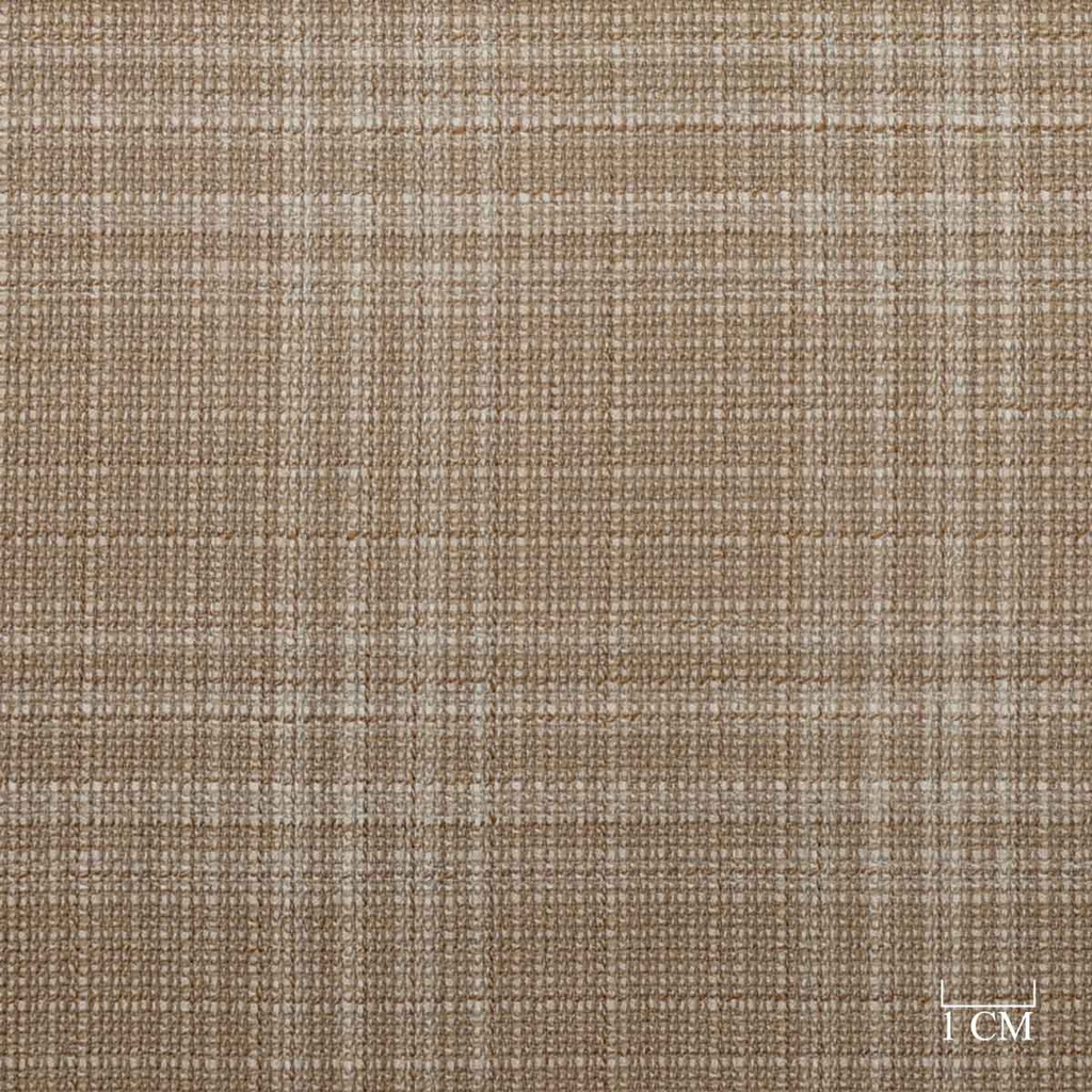 BROWN,CHECKS