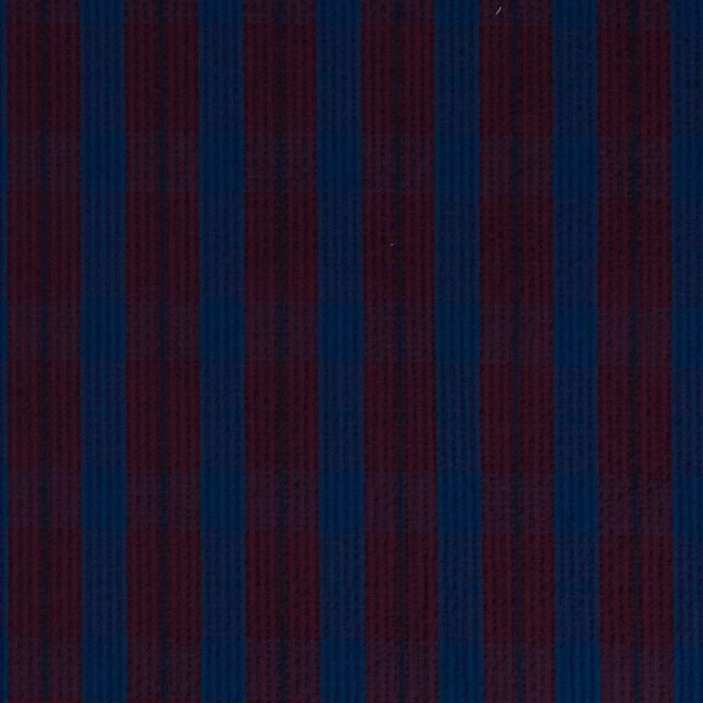 BLUE, MAROON CHECKS