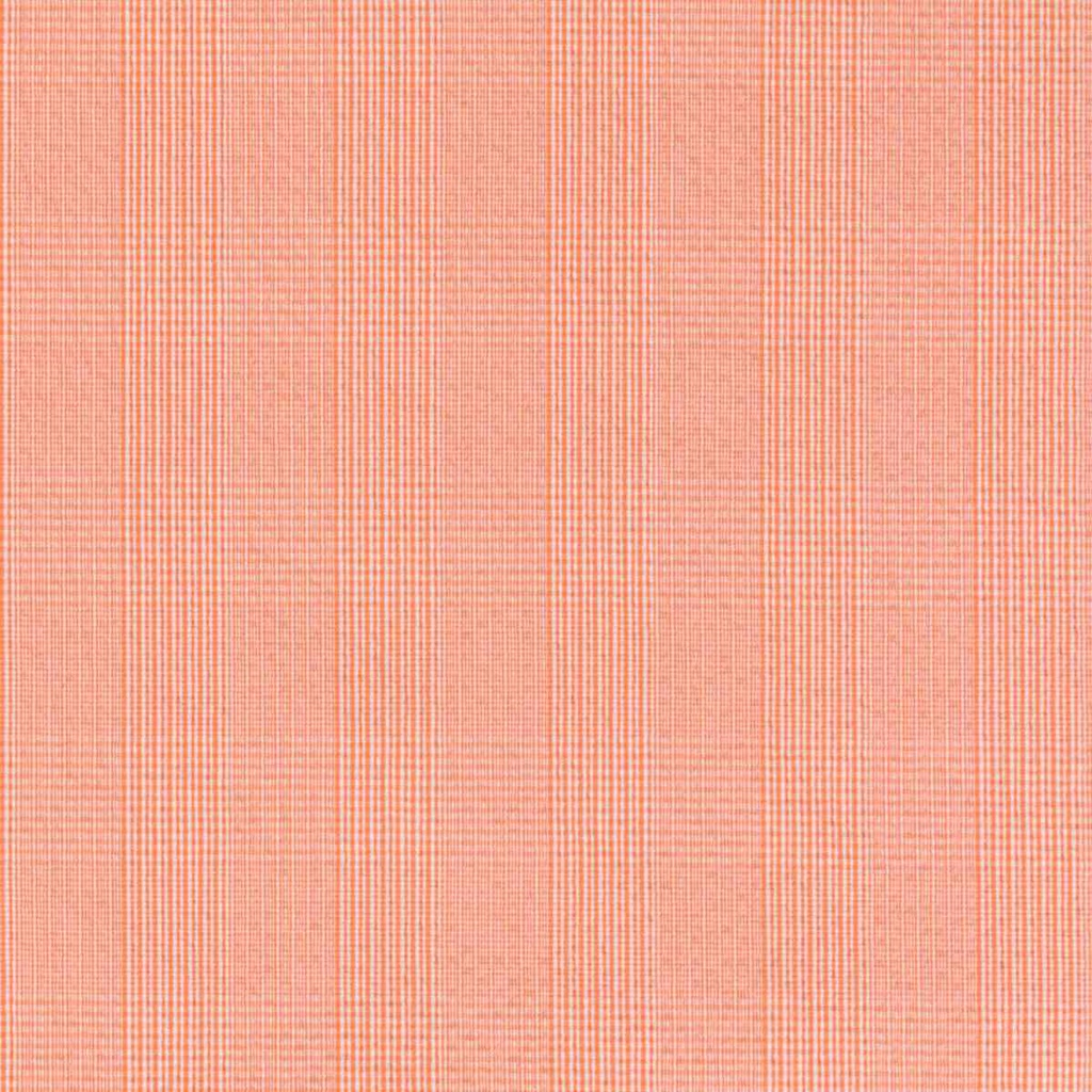 ORANGE, WHITE CHECKS