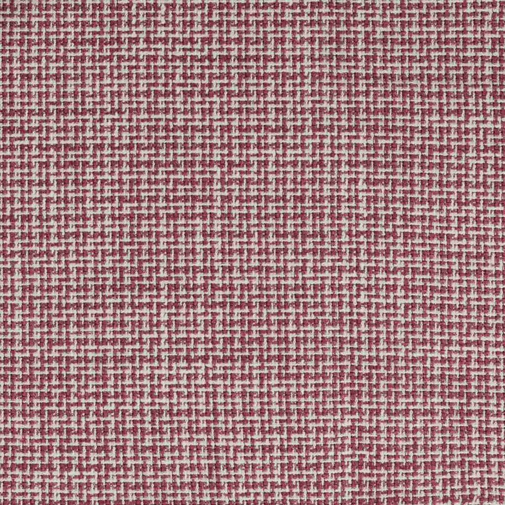 WHITE, PINK CHECKS