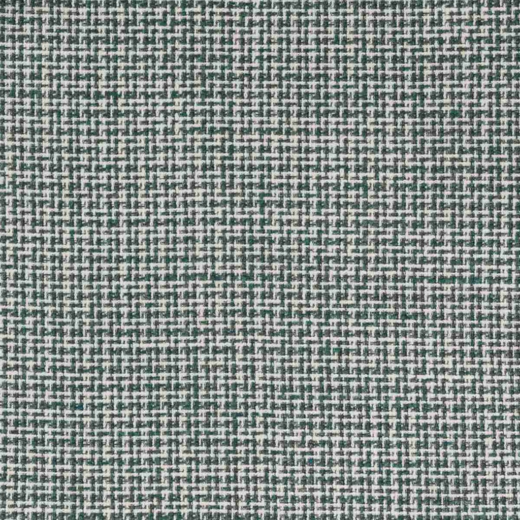 WHITE, GREEN CHECKS