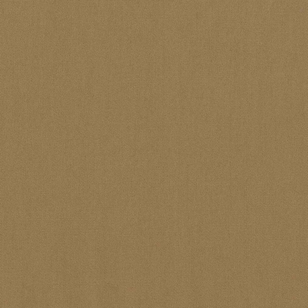 CAMEL, PLAIN