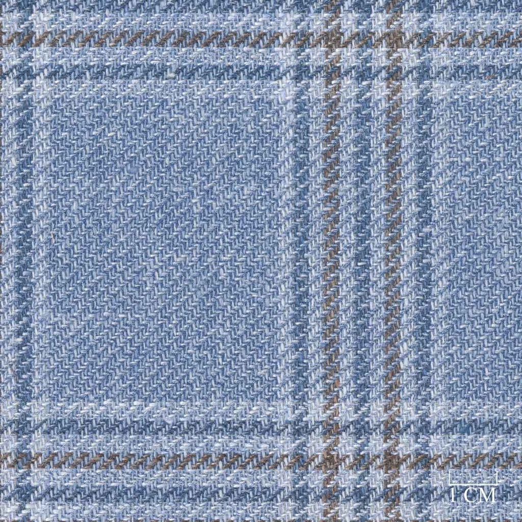 BLUE, BROWN CHECKS