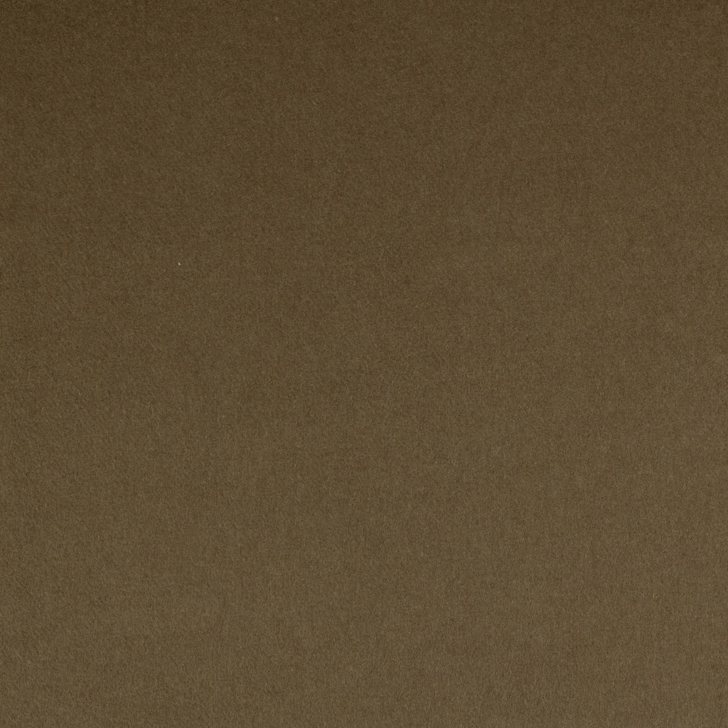 CAMEL, PLAIN (ST# 28051)