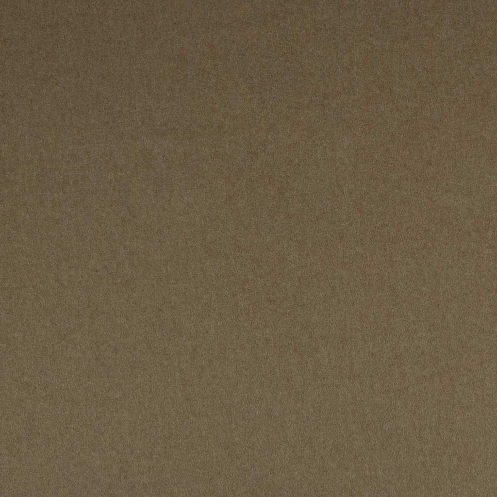 CAMEL, PLAIN (ST# 28049)