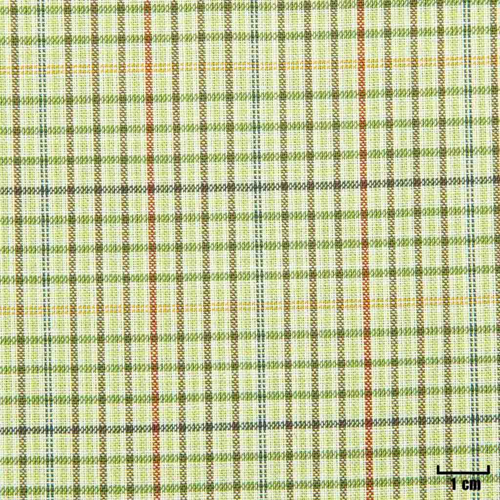 GREEN, SMALL CHECKS