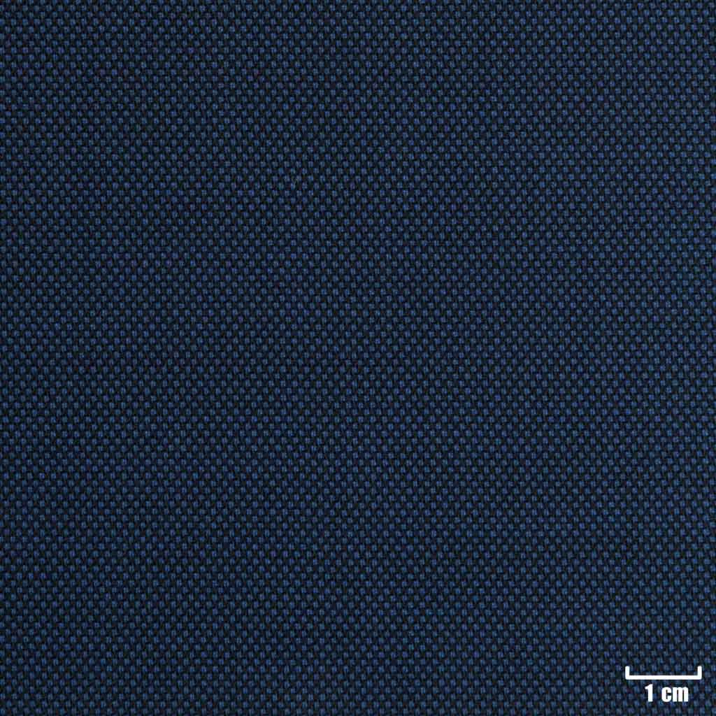 BLUE, BIRDEYE