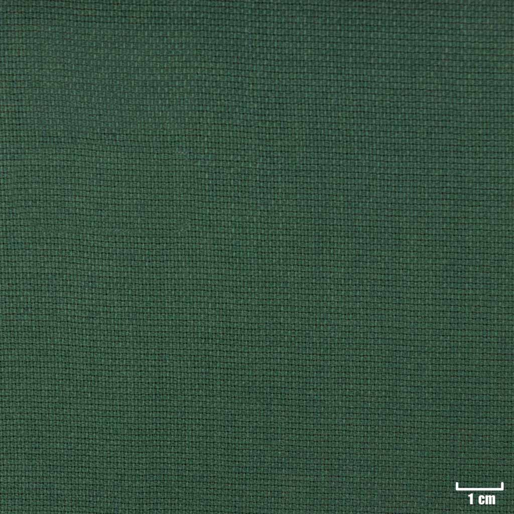 GREEN, PLAIN (ST# 8031)