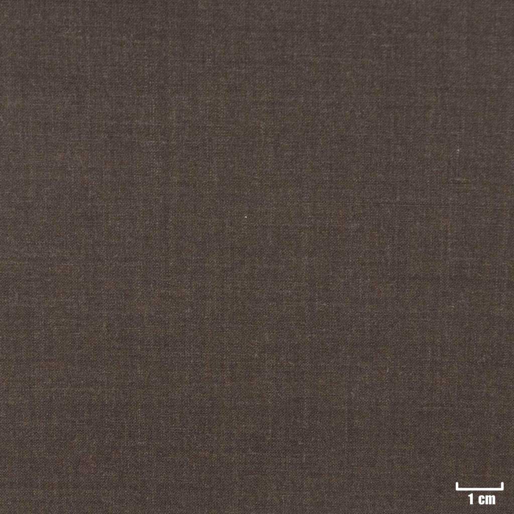BROWN, PLAIN