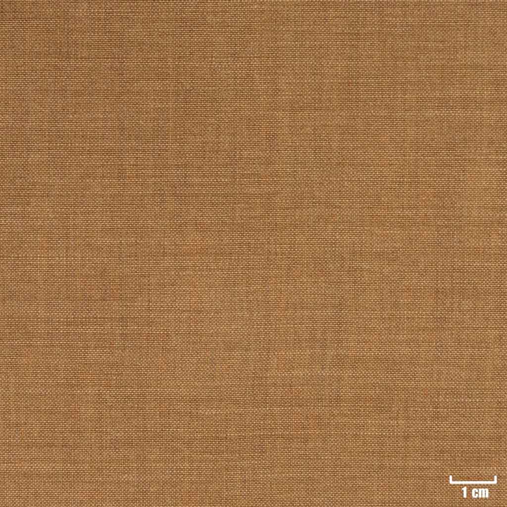 BROWN, PLAIN