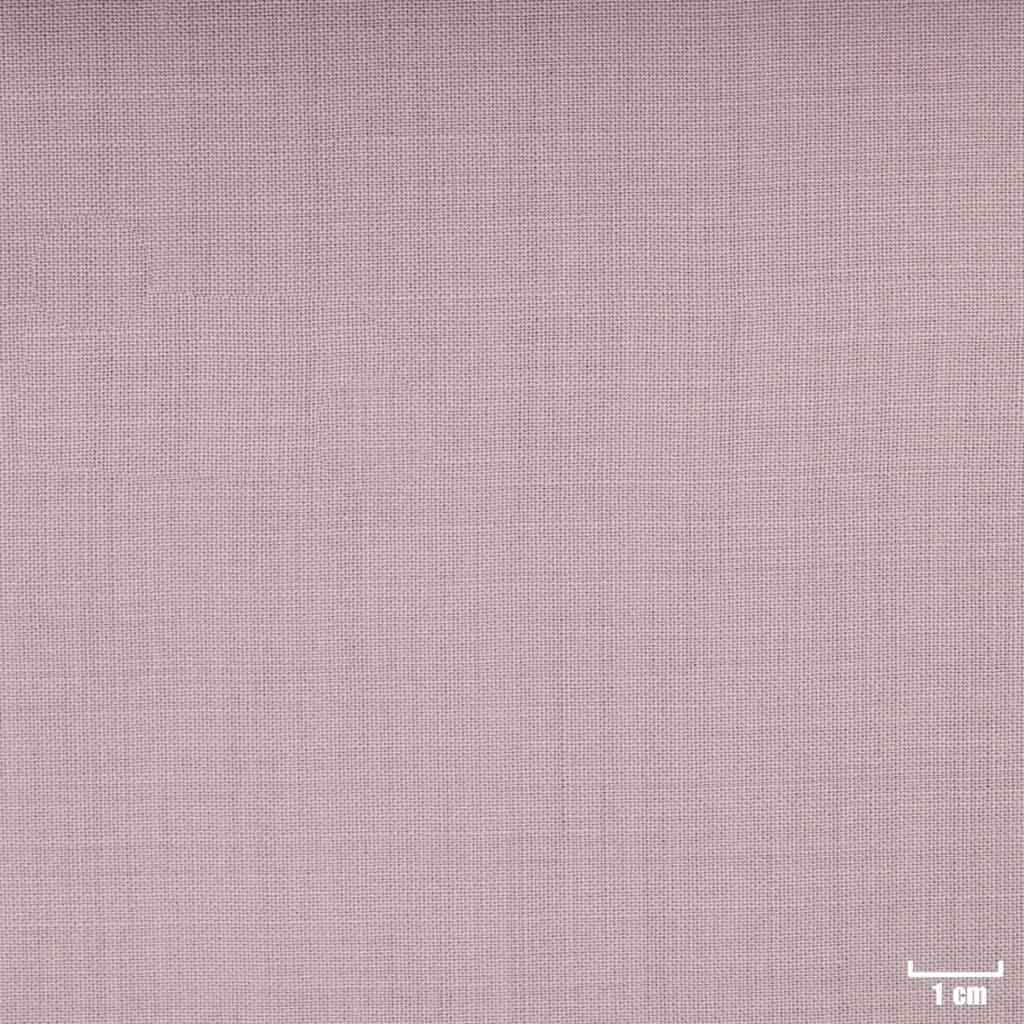 LIGHT PURPLE, PLAIN