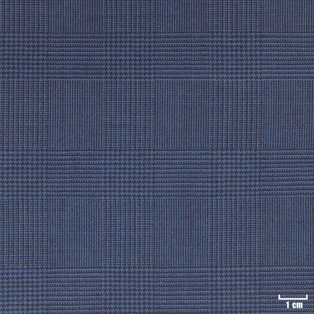 BLUE, CHECKS (ST# 24002)