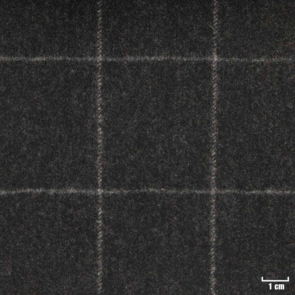 CHARCOAL, CHECKS (ST# 22017)