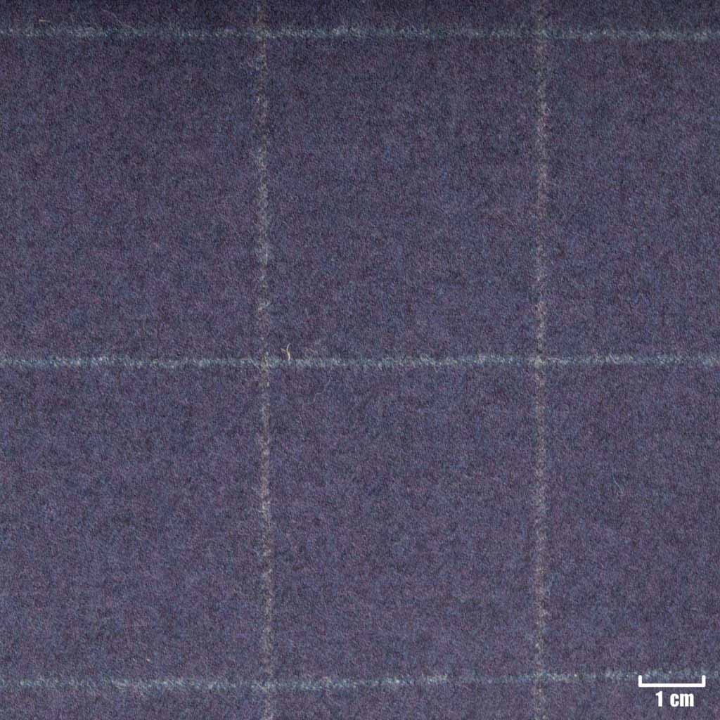 BLUE, CHECKS (ST# 22018)