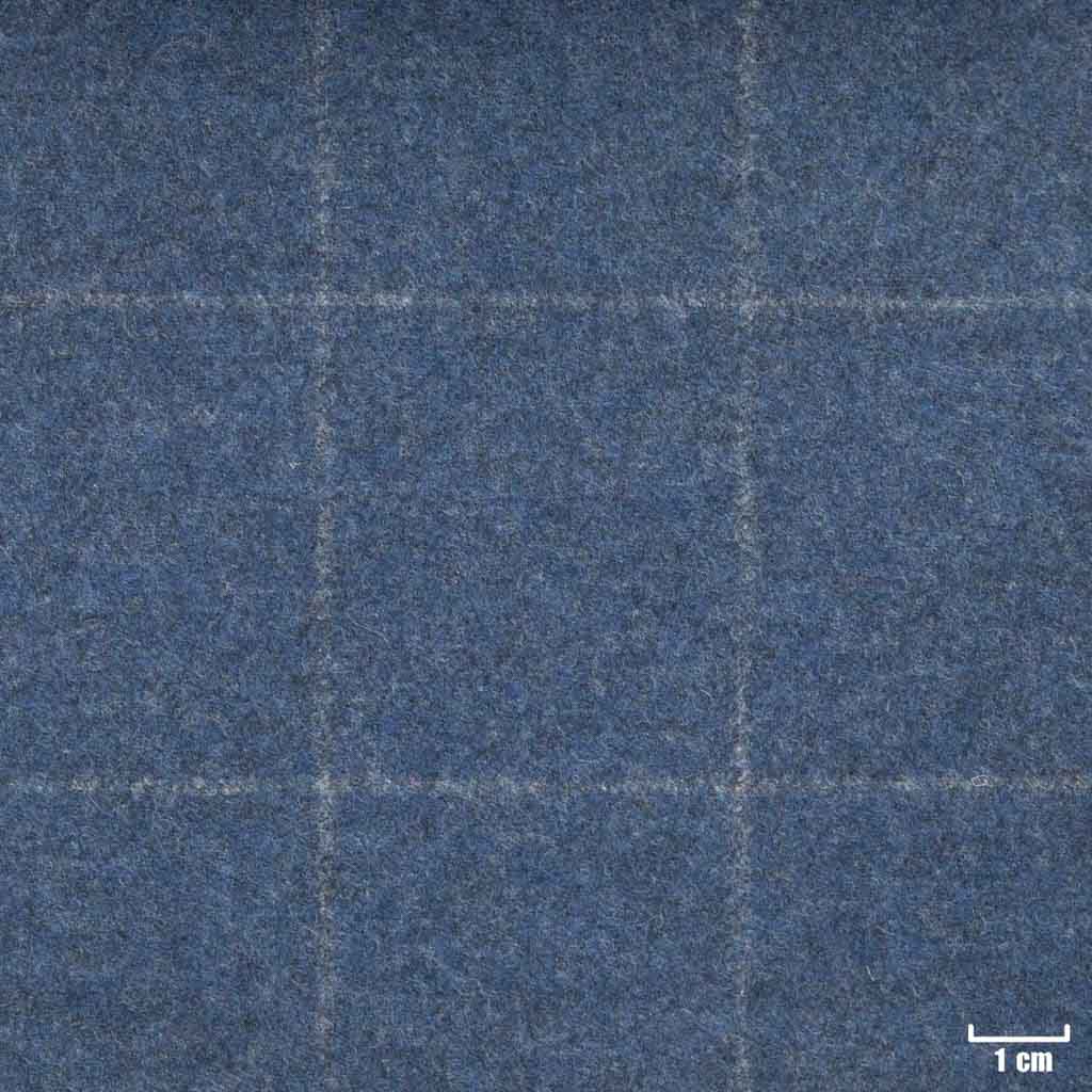 BLUE, CHECKS (ST# 22019)