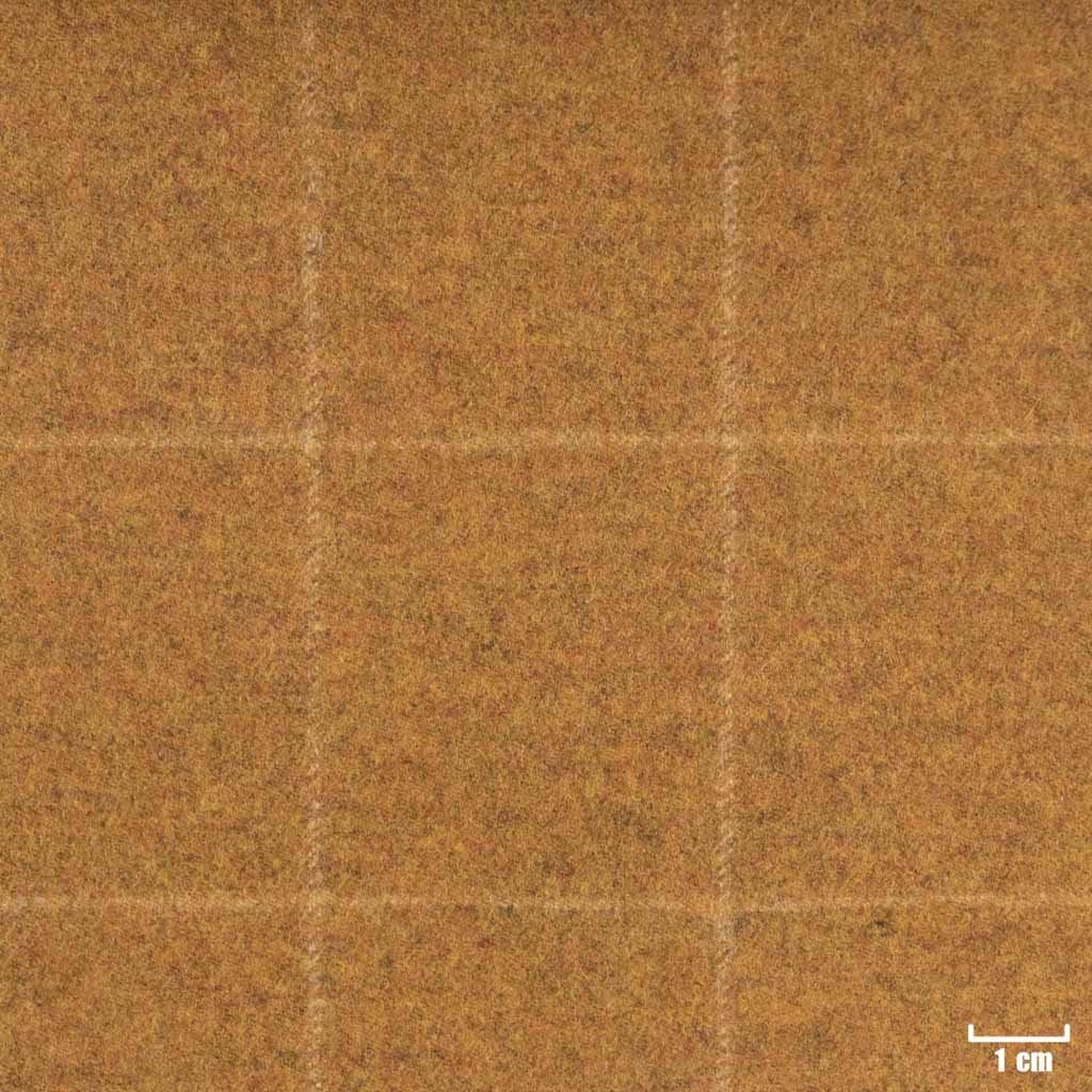 CAMEL, CHECKS (ST# 22022)