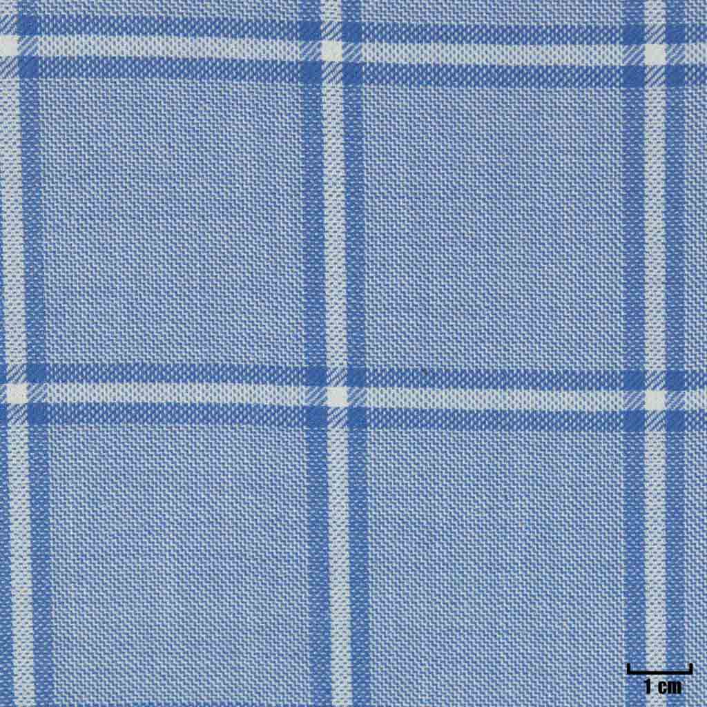 LIGHT BLUE, CHECKS