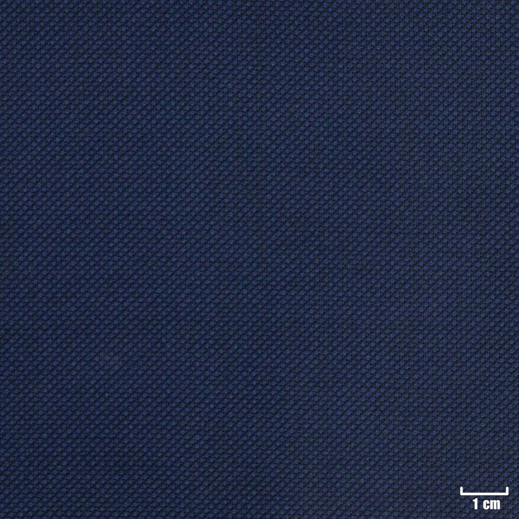 BLUE, BIRDEYE
