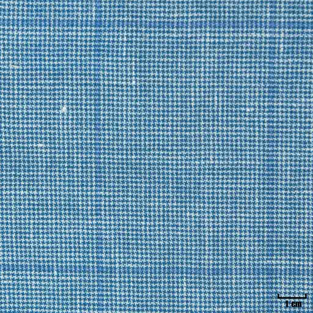 BLUE, CHECKS
