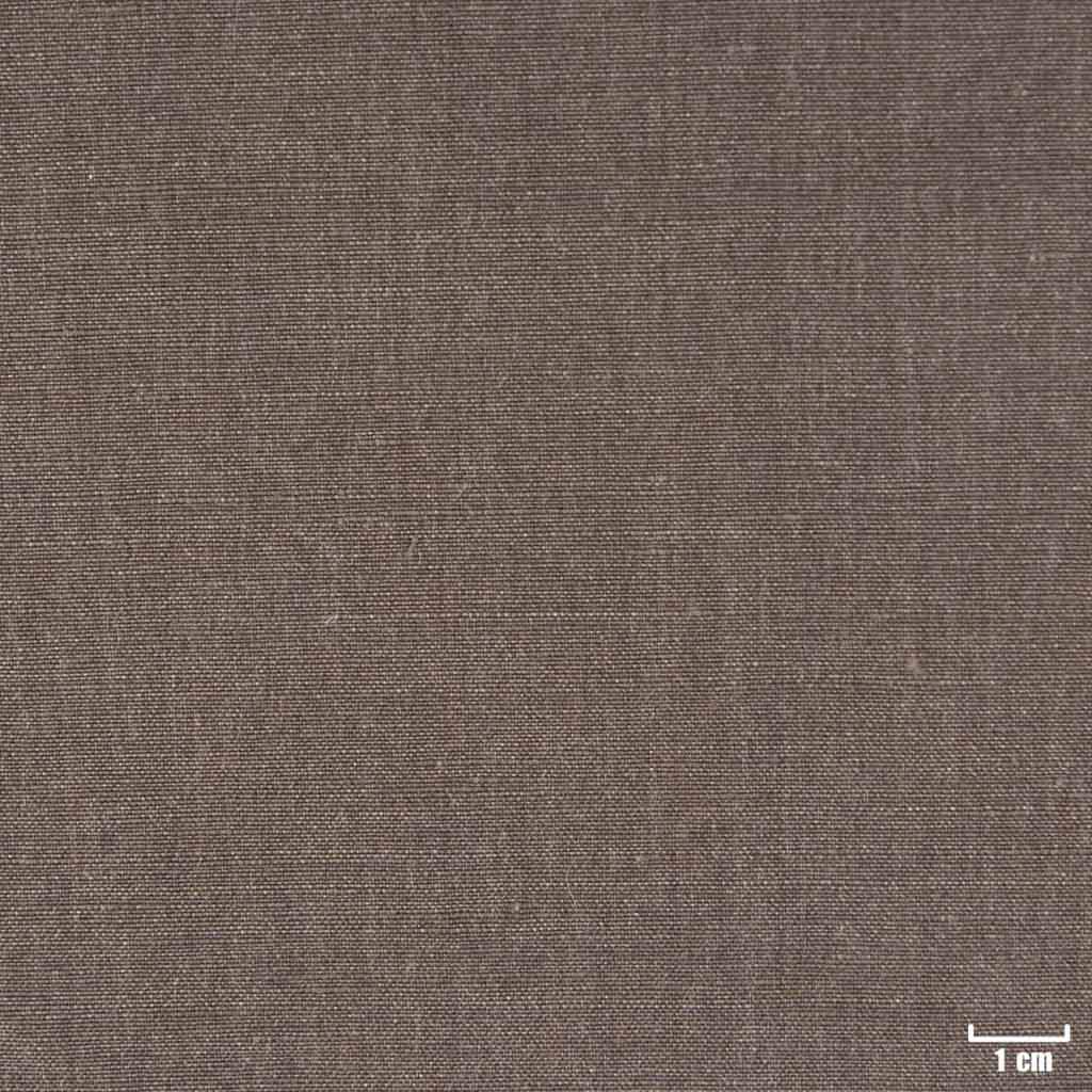 BROWN, PLAIN