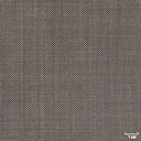 LIGHT GREY, BIRDEYE