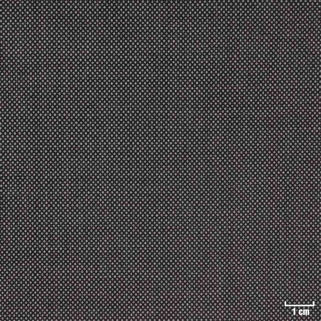 GREY, BIRDEYE