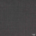 GREY, BIRDEYE