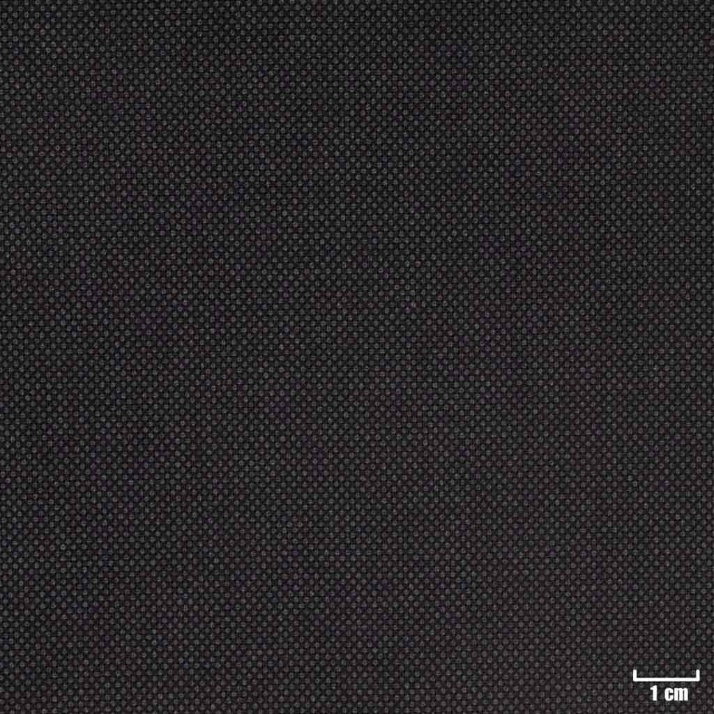 GREY, BIRDEYE