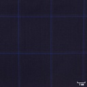 DARK BLUE, CHECKS