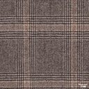 TAN, BROWN CHECKS