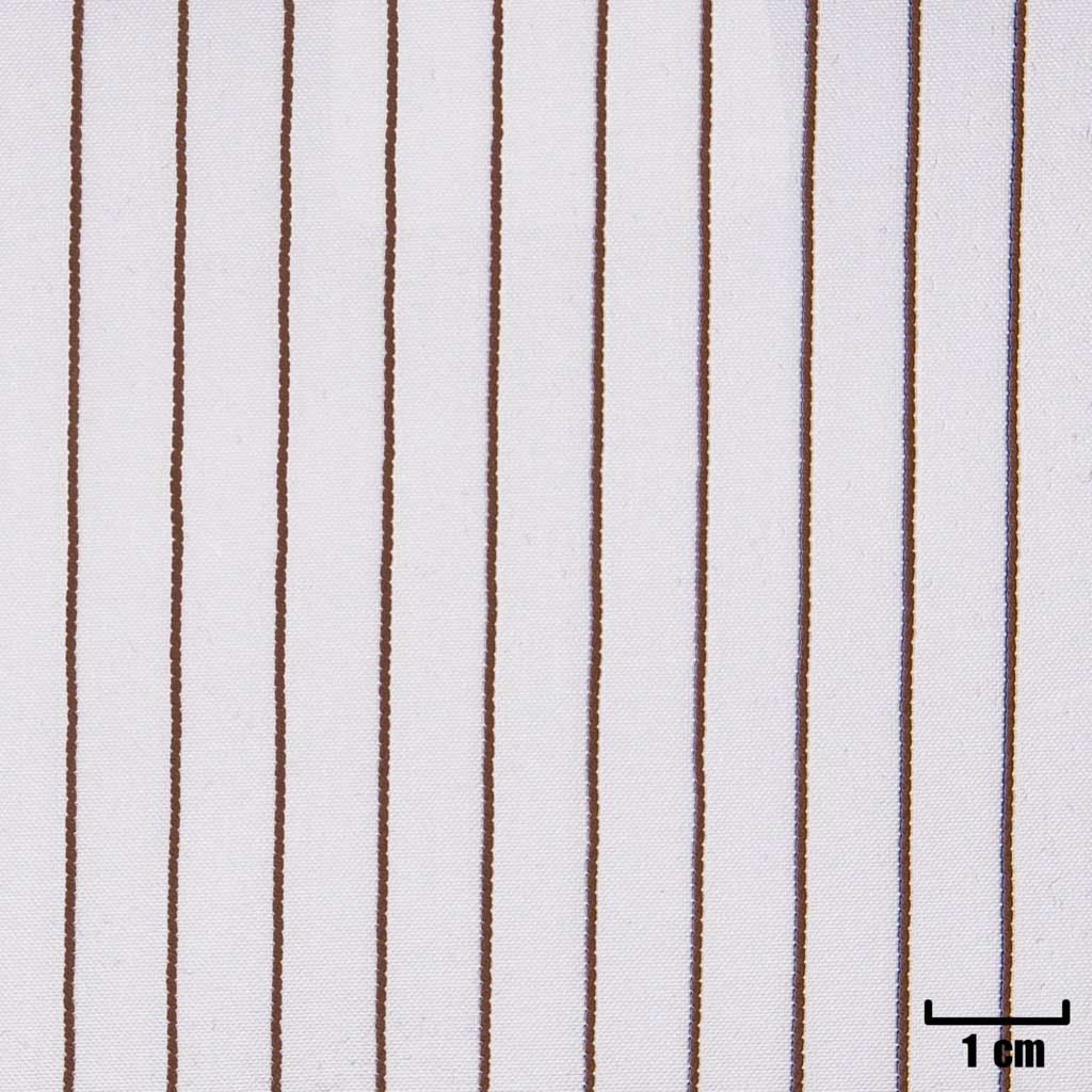 WHITE, BROWN STRIPES