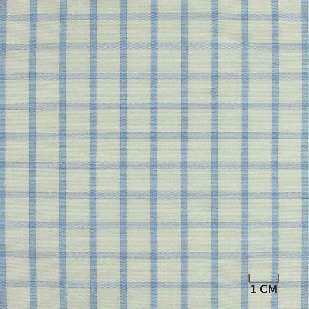 WHITE, BLUE CHECKS