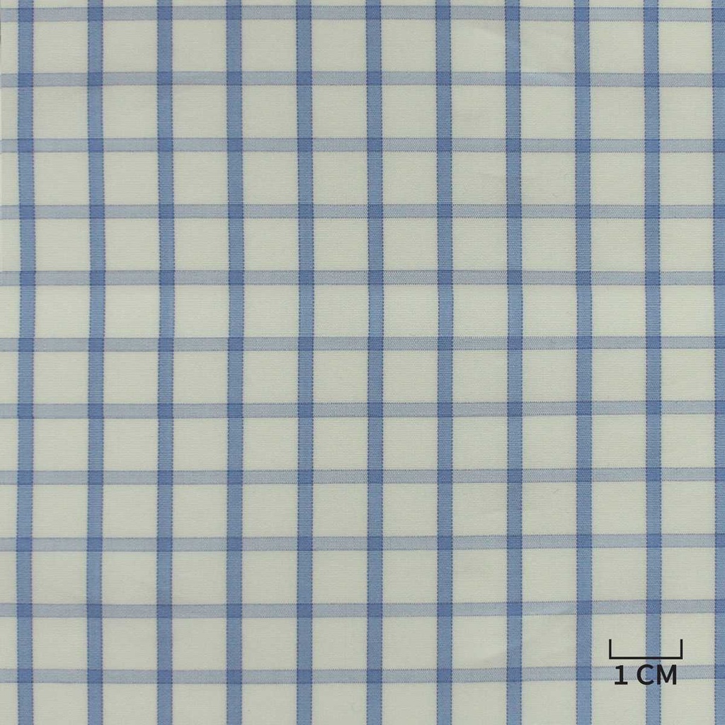 WHITE, BLUE CHECKS